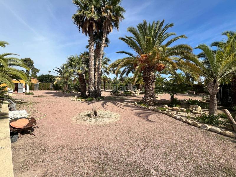 Foto de0f6cb6-34ab-49ee-adb6-fb384c78521c. Xalet amb aparcament piscina a La Algoda - Matola - Llano de San José Elche / Elx