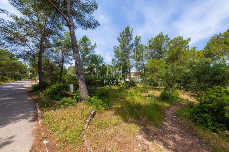 Foto 6787da43-a967-4a85-86d0-f312c76c0831. Terreny residencial a Betlem Artà