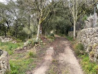 Rural plot in Art Poble. Solar en venta art