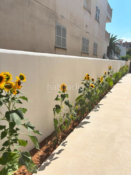 Foto 69de715e-8555-476c-8aec-958e44aec9ec. Lloguer apartament amb calefacció a Cala Ratjada Capdepera