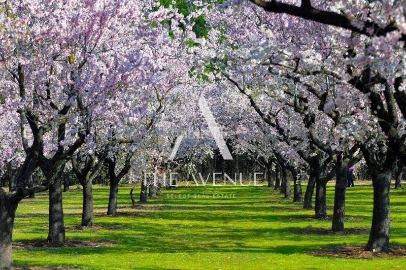 Foto 01c90e8e-df5d-4662-a2a9-f00dd203fe34. Ático  de 2 dormitorios con gran terraza en urbanización. en Madrid