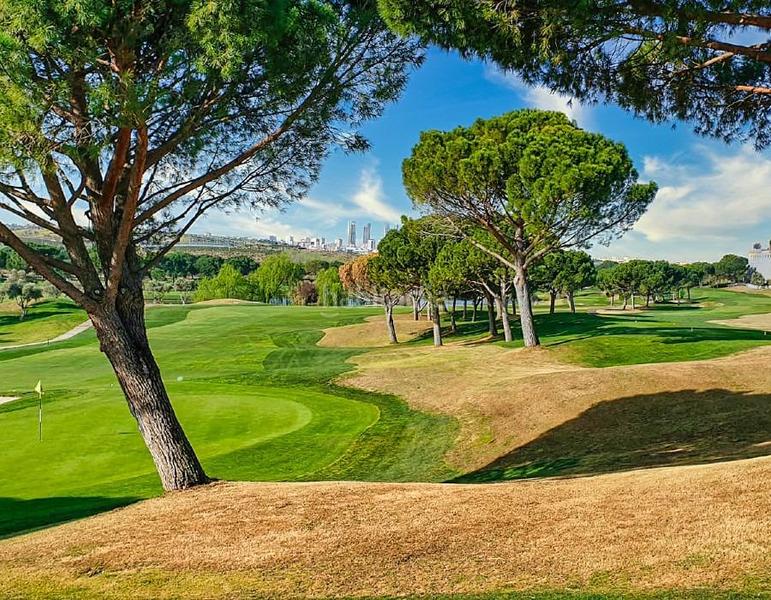 Foto 50a6ae75-a27d-48ec-bd6e-4e90952a4c7e. Pis amb aparcament piscina a Encinar de los Reyes La Moraleja