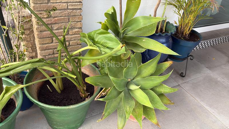 Foto 0215de8c-1034-4fbb-8979-cbd3ccb98d6e. Chalet with fireplace parking pool in Sanlúcar la Mayor