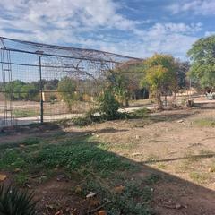 Xalet a Sanlúcar la Mayor. Permuto o vendo chalet urbano en los encinares sanluca la mayor