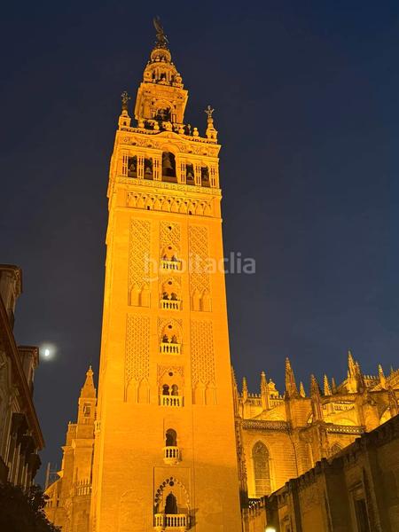 Foto d04e4caf-b90d-4f47-88cc-92987f257043. Bureau dans Alfalfa - Santa Cruz Sevilla