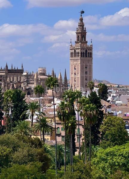 Foto da385499-1366-42d8-96e9-57c1fbedfe72. Bureau dans Alfalfa - Santa Cruz Sevilla