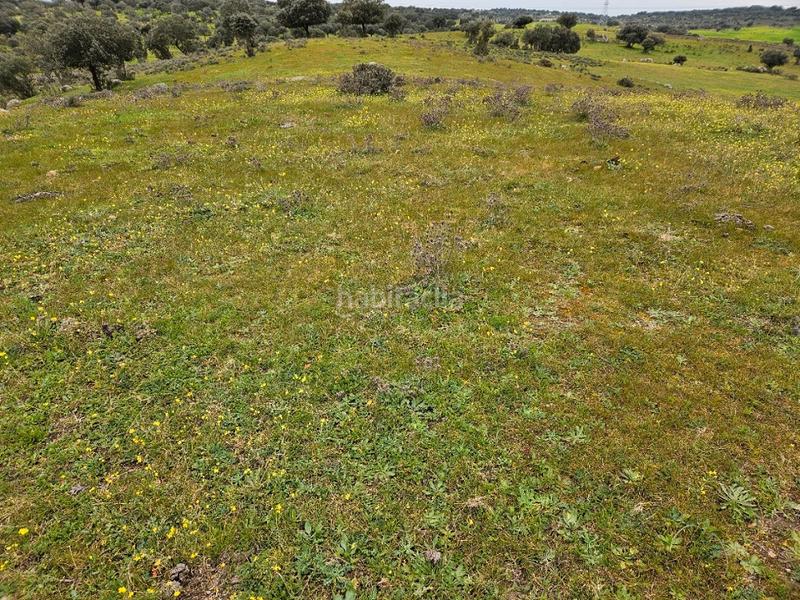 Foto 559b85a1-60bb-4693-a4a5-ddac239effe8. Landgut in Navas del Madroño