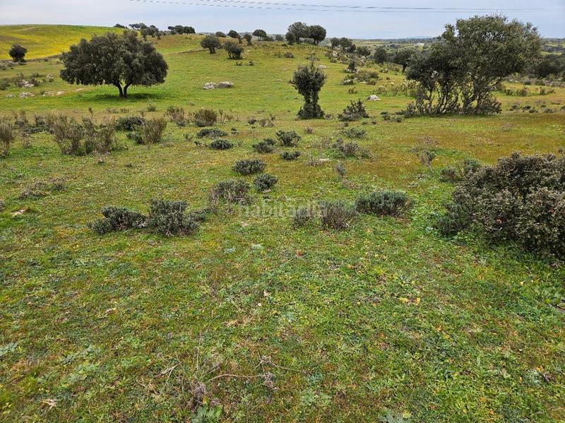 Foto 71b39202-e1d4-4c66-b313-78c9cdce1a5c. Landgut in Navas del Madroño