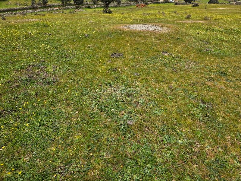 Foto 86de7f49-007c-4d8e-af81-ae4cebdf6fff. Landgut in Navas del Madroño