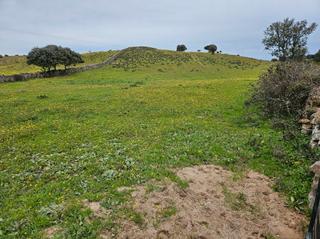 Fondo rustico in Navas del Madroño. Venta finca en navas del madroño (cáceres)
