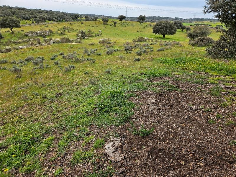 Foto f131e963-b489-47a2-9a28-fac7808cee85. Landgut in Navas del Madroño