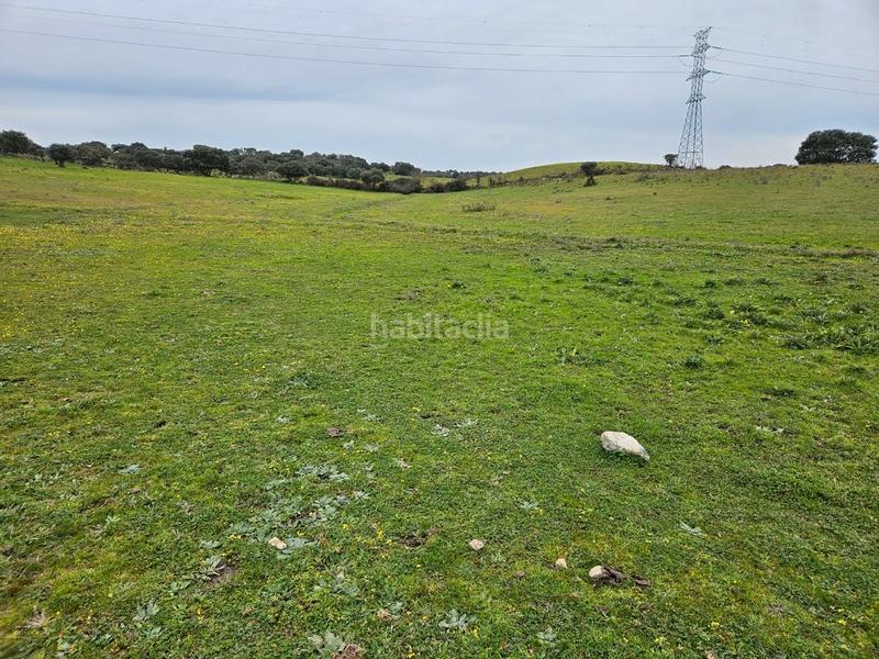 Foto 0c453f7b-01d4-4488-838f-b1a71c893f9e. Landgut in Navas del Madroño