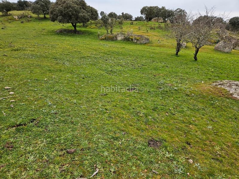 Foto 6232d81a-8abd-4141-8bda-8e89d2c95cde. Landgut in Navas del Madroño