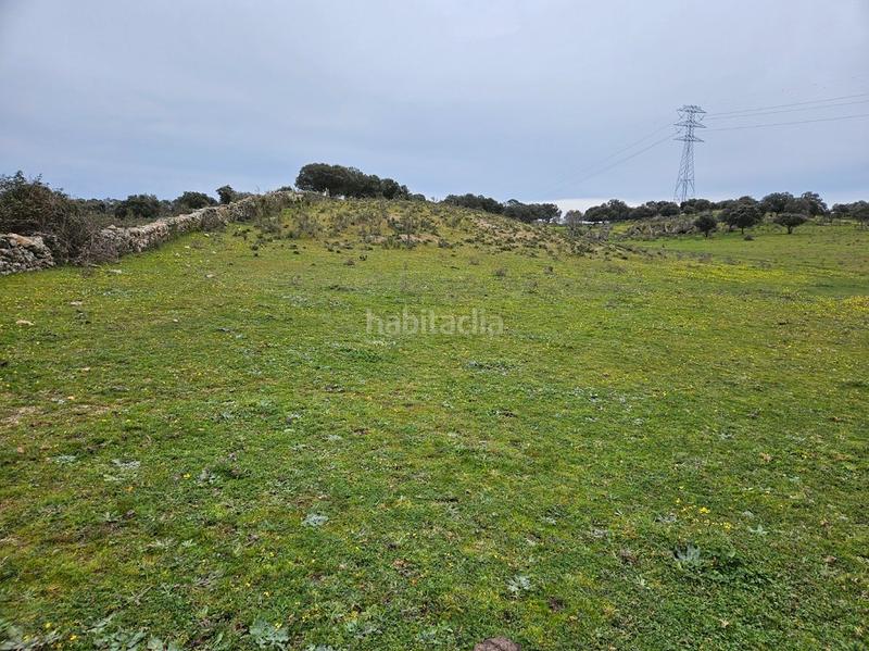 Foto 77190095-467c-4c68-b92d-6c5d7a08d51b. Landgut in Navas del Madroño