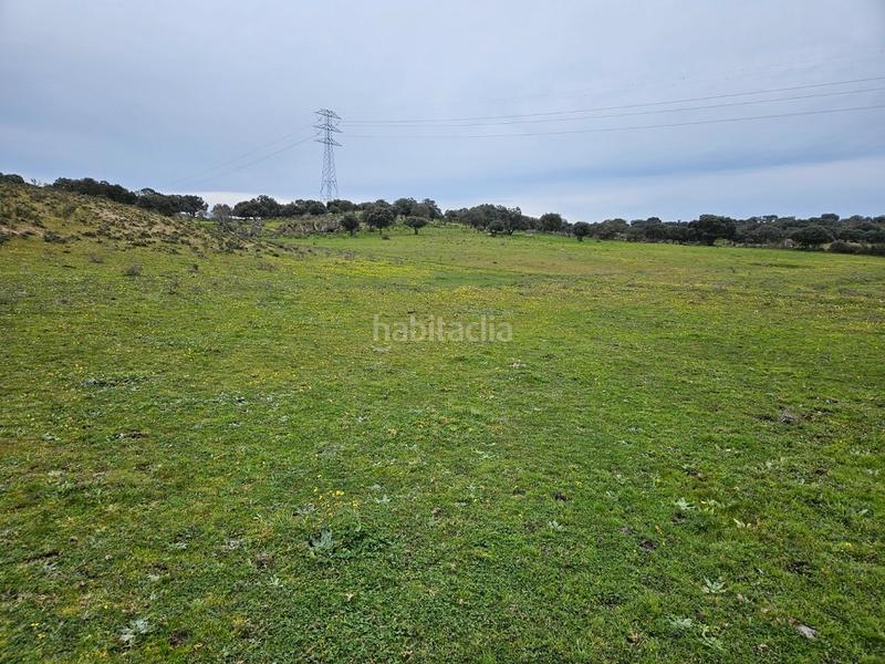 Foto 9db848d7-73ec-428d-aa59-94ba8698706e. Landgut in Navas del Madroño