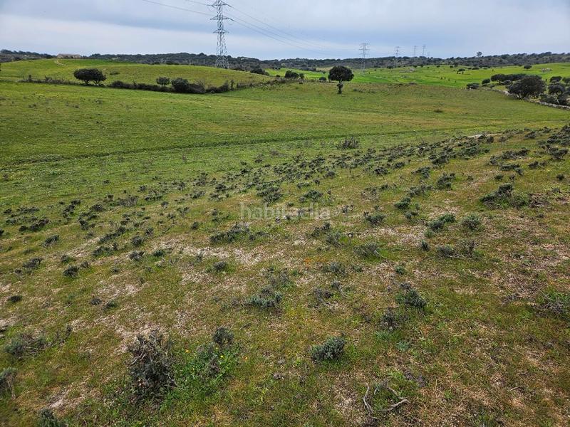 Foto a90baa4d-8c7b-4091-aca8-efecf2206b19. Landgut in Navas del Madroño