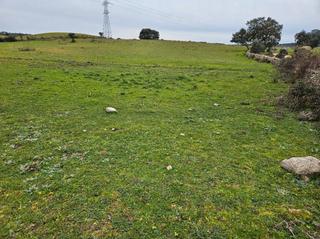 Fondo rustico in Navas del Madroño. Venta finca en navas del madroño (cáceres).