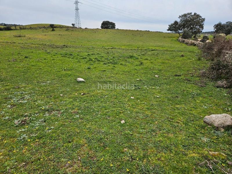 Foto e54a05bb-8c0a-4943-8b2d-c0881e39bb1b. Landgut in Navas del Madroño