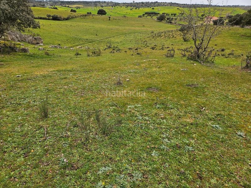 Foto ea11179d-9c78-4f82-aaf9-937b007cd9e9. Landgut in Navas del Madroño