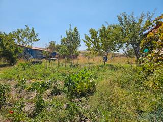 Finca rústica a Brozas. Venta parcela rustica en brozas (caceres)