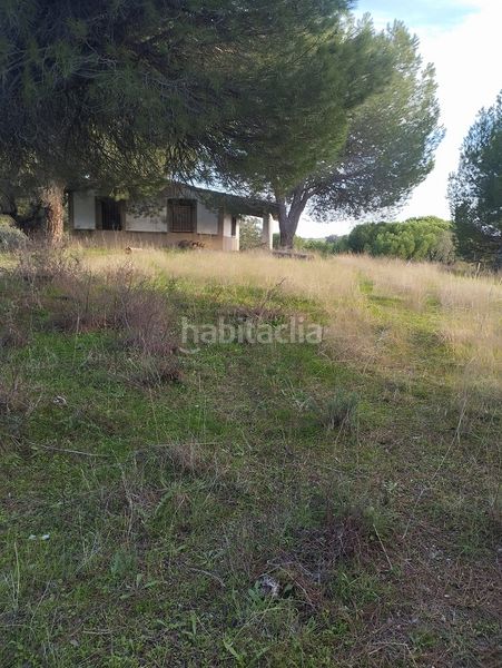 Foto 33e9247f-24b3-4e23-b744-92196ef84d38. Finca rústica a Garrovillas
