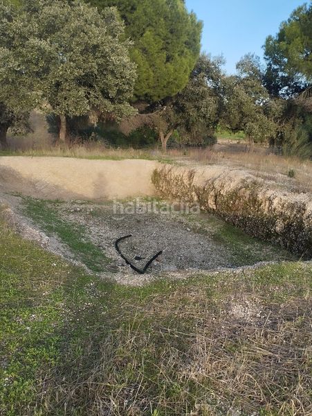 Foto a0214765-5d02-4571-836b-3b259377979b. Finca rústica a Garrovillas