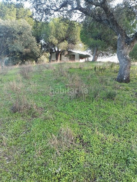 Foto a8514e15-e11a-4a1a-8926-4f9603973d75. Finca rústica a Garrovillas