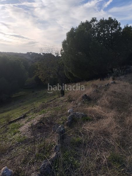 Foto bde9ba79-44a1-487e-b906-b0a1ad8a2aa5. Finca rústica a Garrovillas