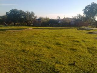 Propriété à Arroyo de la Luz. Venta finca rustica en arroyo de la luz (cáceres)