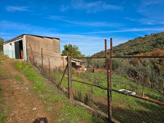 Landgut in Calle san luis 15. Venta parcela rústica con edificación en aliseda (cáceres).