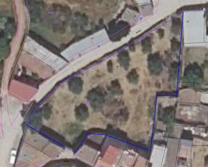 Terreny residencial a Calleja Nora 3