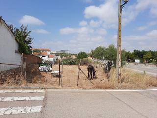 Residential Plot in Calle hernán cortés 15. Parcela urbana. c/ hernan cortes, 41. aliseda.