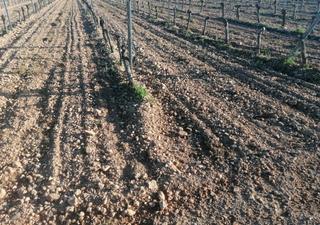Mas à Valdepeñas. Finca en venta en carretera daimiel, 3 dormitorios.