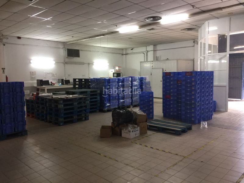 Foto a9d5877d-356f-4201-b70c-d7e0026444dd. Rent industrial building in La Hacienda - Nueva Andalucía Dos Hermanas