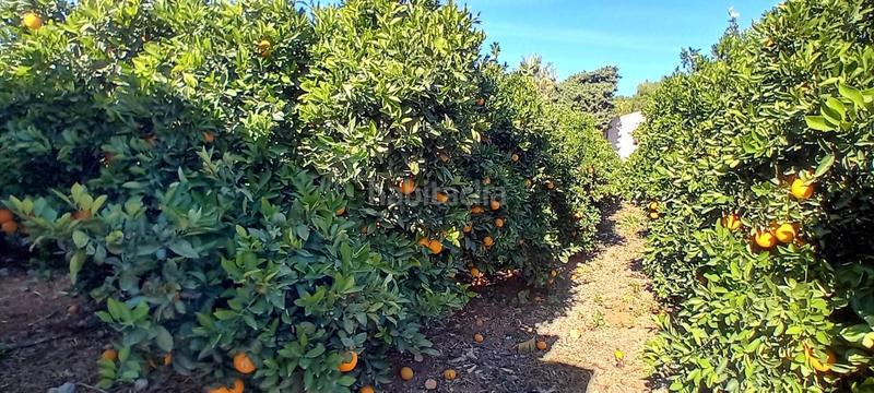 Foto 0237a8de-d412-4dd2-84cf-2f5389a0fe50. Mas avec chauffage dans La Xara-La Sella Dénia