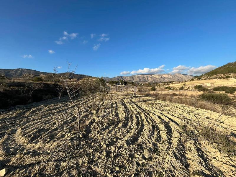 Foto 2fdda180-482d-42c8-b130-55a26aa38daa. Fondo rustico in Relleu