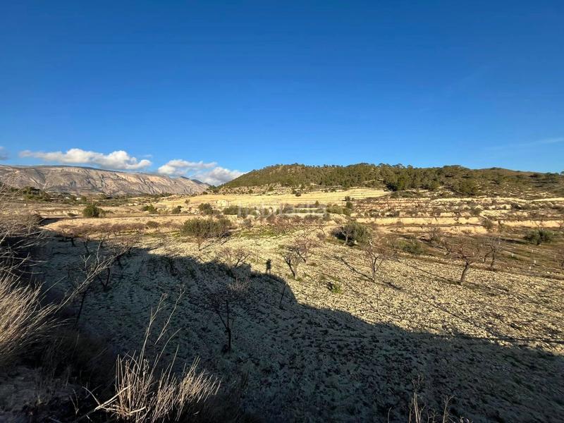 Foto 65e3f2dc-1ff5-4230-9433-237d23e5bec7. Fondo rustico in Relleu