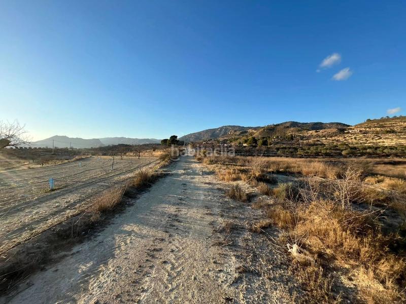 Foto c978c21d-442b-412d-a66f-759175e4ec50. Fondo rustico in Relleu