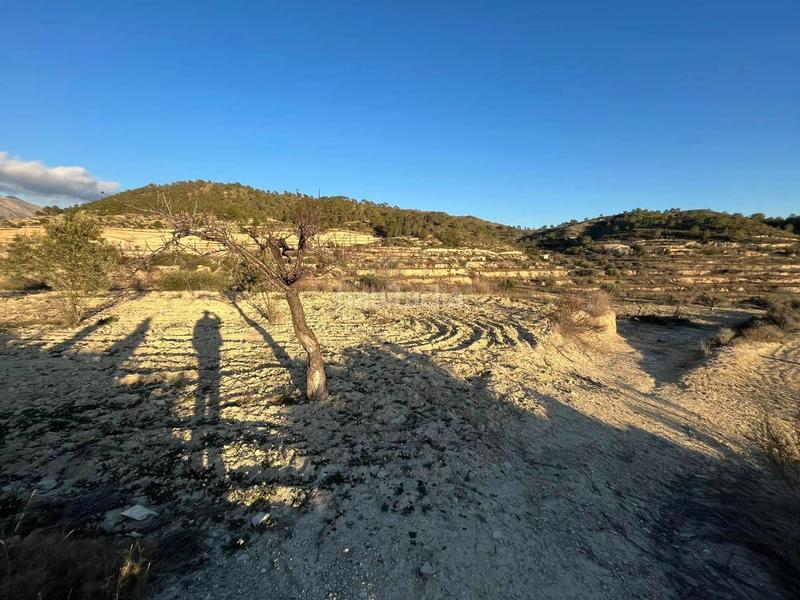 Foto 07be791f-e7cc-4137-adf1-ca44e6647e27. Finca rústica en Relleu