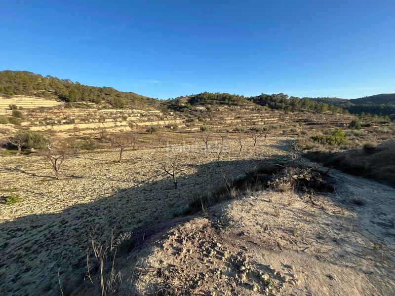 Foto be67b5e9-6031-4aae-a905-f28867e485f9. Finca rústica en Relleu