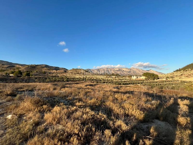 Foto ff90ed61-5fb7-481b-8a27-46751ab2b57a. Finca rústica en Relleu