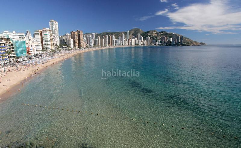 Foto ce1ac40a-cb3c-487d-8acf-93eb25cc0b31. Estudi amb piscina a Rincón Alto Benidorm