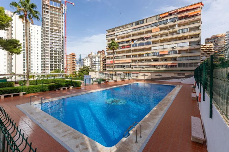 Foto 70e9977d-11d5-47b6-a22a-bc9f1345e402. Studio avec piscine dans Rincón Alto Benidorm