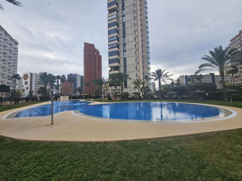 Foto 99a3fa9f-90c6-4c4a-8024-992598685e73. Apartament amb piscina a Rincón Bajo Benidorm
