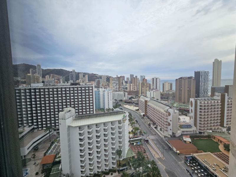 Foto 814bf11e-805e-4951-8809-05f9ae9e8495. Appartement mit pool in Rincón Bajo Benidorm