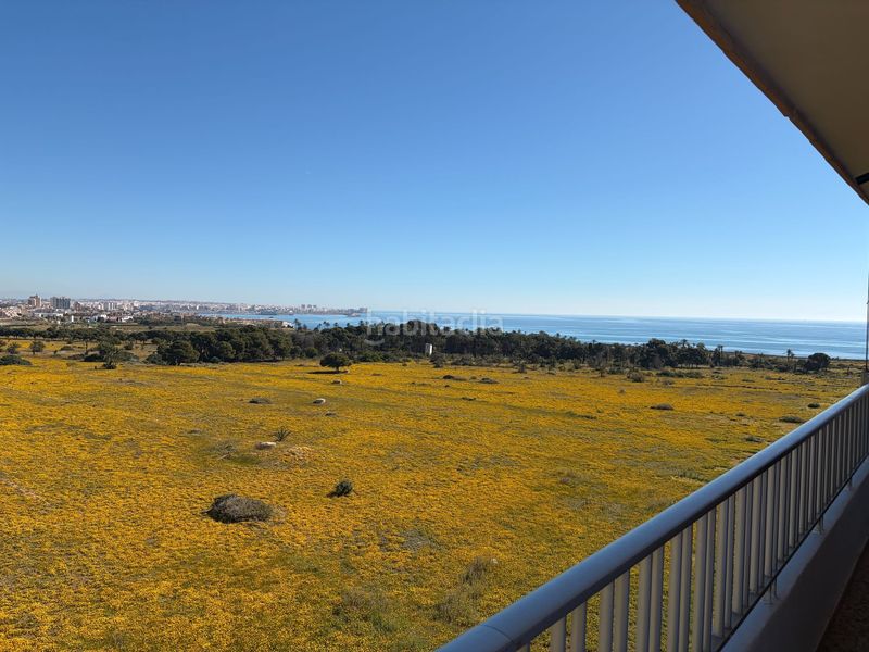 Foto 014f2361-4892-4309-8e43-36d49509969a. Apartament amb piscina a Punta Prima Torrevieja