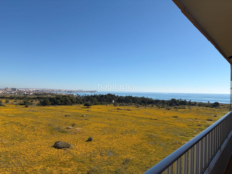 Foto 7df79317-3556-4d41-9c00-6e9bfbc69277. Apartament amb piscina a Punta Prima Torrevieja