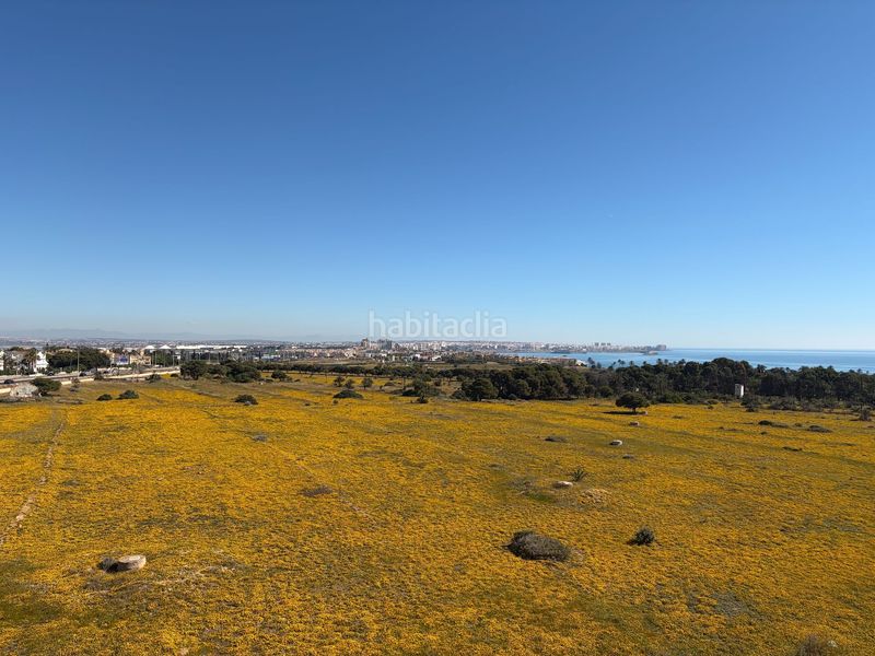 Foto a0d9c0a5-b261-41cf-9796-26d36a79f248. Apartament amb piscina a Punta Prima Torrevieja