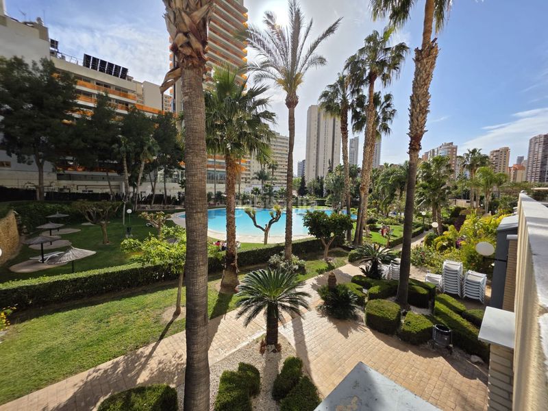 Foto dcb3ab76-e013-4544-912b-a0619cb8ce88. Apartament amb piscina a Rincón Bajo Benidorm