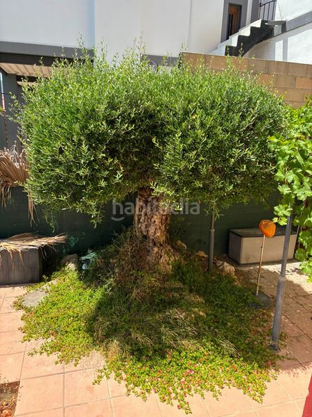 Foto a6b595ad-68ad-4cc7-a39c-4ebc41b97140. Casa en Relleu